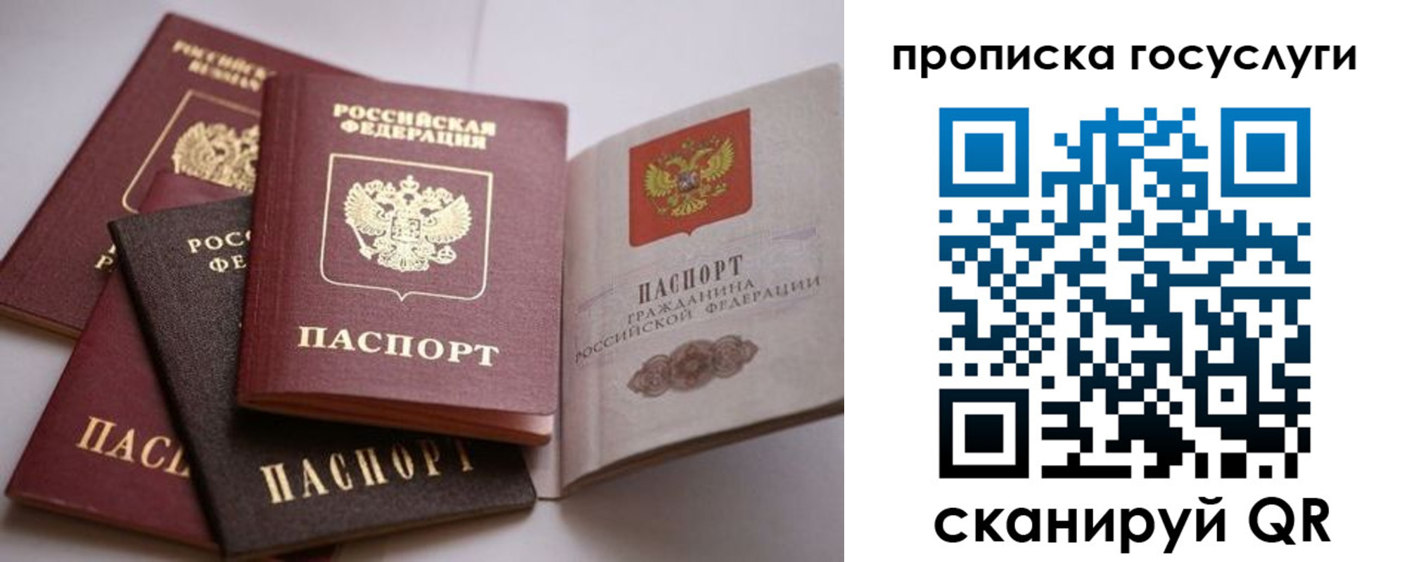 купить прописку в Бабаево